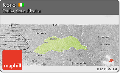 Physical Panoramic Map of Koro, desaturated