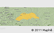 Savanna Style Panoramic Map of Koro