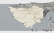 Shaded Relief Panoramic Map of Istra, darken, semi-desaturated