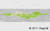 Physical Panoramic Map of Pozega-Slavonija, lighten, desaturated