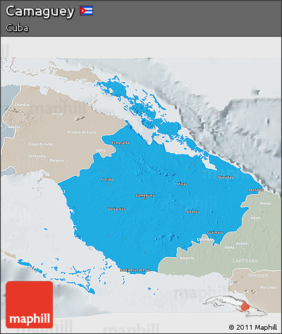 Political 3D Map of Camaguey, lighten, semi-desaturated