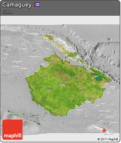 Satellite 3D Map of Camaguey, lighten, desaturated
