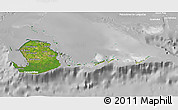 Satellite 3D Map of Isla de la Juventud, lighten, desaturated