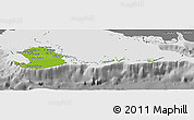 Physical Panoramic Map of Isla de la Juventud, desaturated