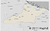 Shaded Relief 3D Map of Las Tunas, desaturated