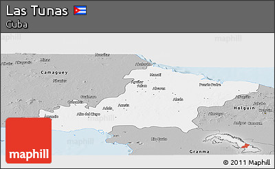 Gray Panoramic Map of Las Tunas