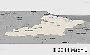 Shaded Relief Panoramic Map of Las Tunas, darken, desaturated
