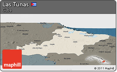 Shaded Relief Panoramic Map of Las Tunas, darken