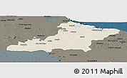 Shaded Relief Panoramic Map of Las Tunas, darken
