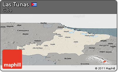 Shaded Relief Panoramic Map of Las Tunas, darken, semi-desaturated