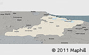 Shaded Relief Panoramic Map of Las Tunas, darken, semi-desaturated