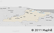 Shaded Relief Panoramic Map of Las Tunas, desaturated