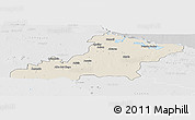 Shaded Relief Panoramic Map of Las Tunas, lighten, desaturated