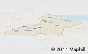 Shaded Relief Panoramic Map of Las Tunas, lighten