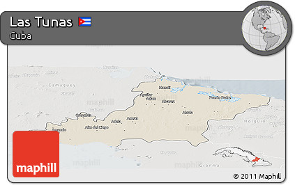 Shaded Relief Panoramic Map of Las Tunas, lighten, semi-desaturated