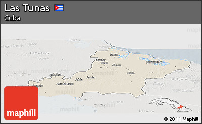 Shaded Relief Panoramic Map of Las Tunas, lighten, semi-desaturated