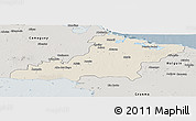 Shaded Relief Panoramic Map of Las Tunas, semi-desaturated