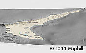 Shaded Relief Panoramic Map of Famagusta, darken, desaturated