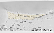 Shaded Relief 3D Map of Kyrenia, desaturated