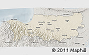 Shaded Relief 3D Map of Nicosia, semi-desaturated