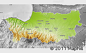 Physical Map of Nicosia, desaturated