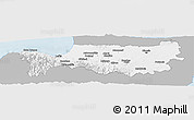 Gray Panoramic Map of Nicosia, single color outside