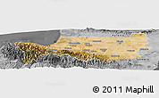 Satellite Panoramic Map of Nicosia, desaturated