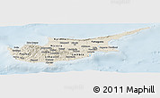 Shaded Relief Panoramic Map of Cyprus, lighten