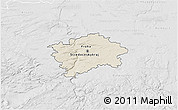 Shaded Relief 3D Map of hl.m. Praha, lighten, desaturated