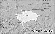 Gray 3D Map of Praha