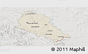 Shaded Relief Panoramic Map of České Budějovice, lighten, semi-desaturated