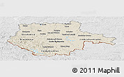 Shaded Relief Panoramic Map of Jihočeský kraj, lighten, desaturated