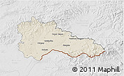 Shaded Relief 3D Map of Hodonín, lighten, desaturated