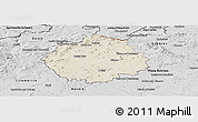 Shaded Relief Panoramic Map of Česká Lípa, desaturated