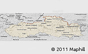 Shaded Relief Panoramic Map of Liberecký kraj, desaturated