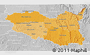 Political Shades 3D Map of Pardubický kraj, lighten, desaturated