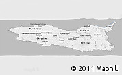 Gray Panoramic Map of Pardubický kraj, single color outside