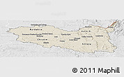 Shaded Relief Panoramic Map of Pardubický kraj, lighten, desaturated