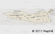 Shaded Relief Panoramic Map of Pardubický kraj, lighten, semi-desaturated