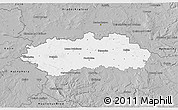 Gray 3D Map of Pardubice