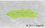 Physical 3D Map of Pardubice, lighten, desaturated
