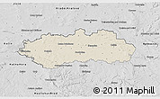 Shaded Relief 3D Map of Pardubice, desaturated