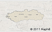 Shaded Relief 3D Map of Pardubice, lighten