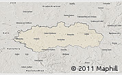 Shaded Relief 3D Map of Pardubice, semi-desaturated