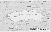 Silver Style 3D Map of Pardubice