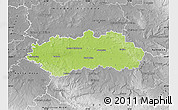 Physical Map of Pardubice, desaturated
