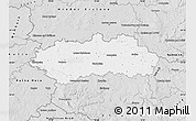 Silver Style Map of Pardubice