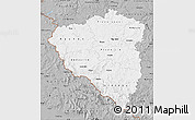 Gray Map of Plzeňský kraj