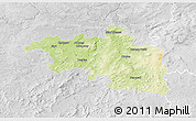 Physical 3D Map of Plzeň-jih, lighten, desaturated