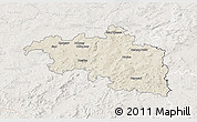 Shaded Relief 3D Map of Plzeň-jih, lighten